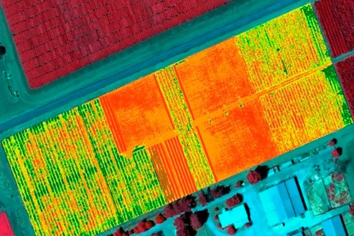 Supervisar agricultura con drones